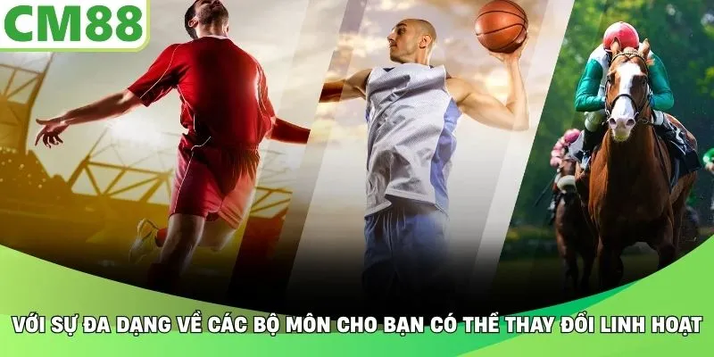 Với sự đa dạng về các bộ môn cho bạn có thể thay đổi linh hoạt